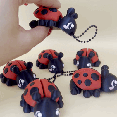 Coccinella - portachiavi flessibili